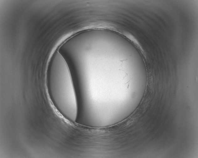 X0000080101088200612080923
