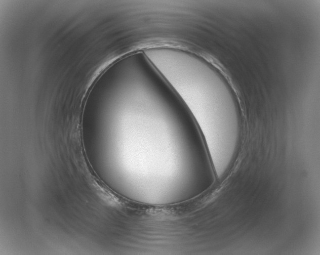 X0000080101089200612080923