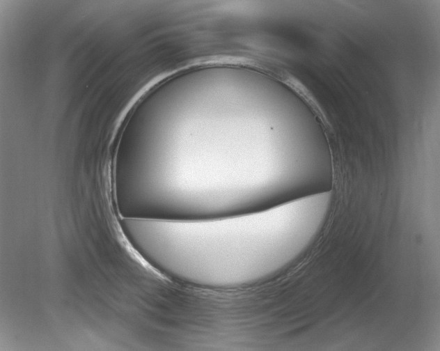X0000080101092200612080923