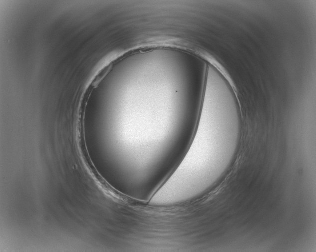 X0000080101093200612080923
