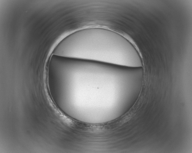 X0000080101096200612080923
