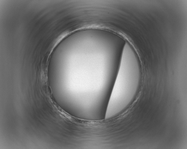 X0000080101097200612080923