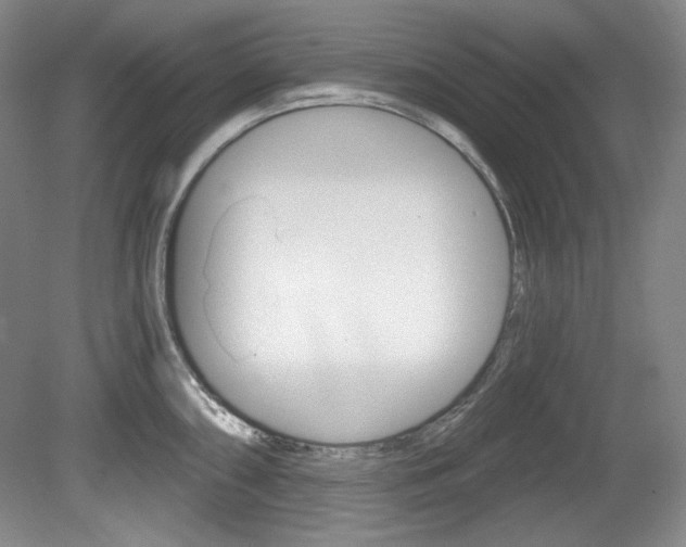 X0000080101098200612080923