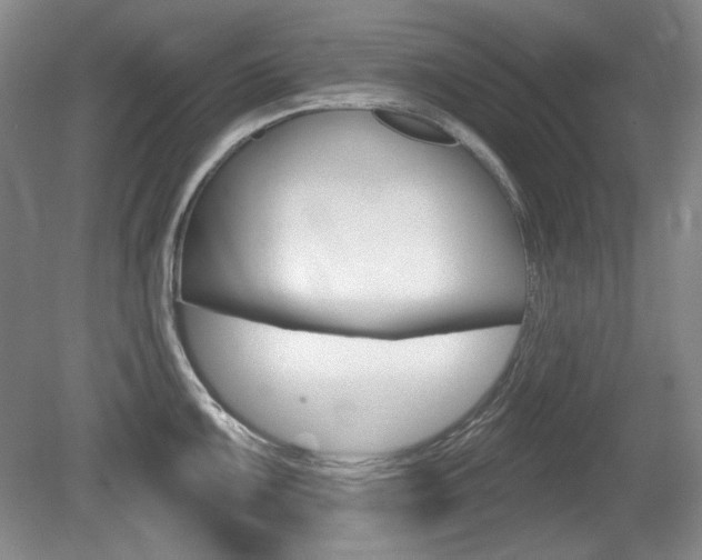 X0000080101099200612080923