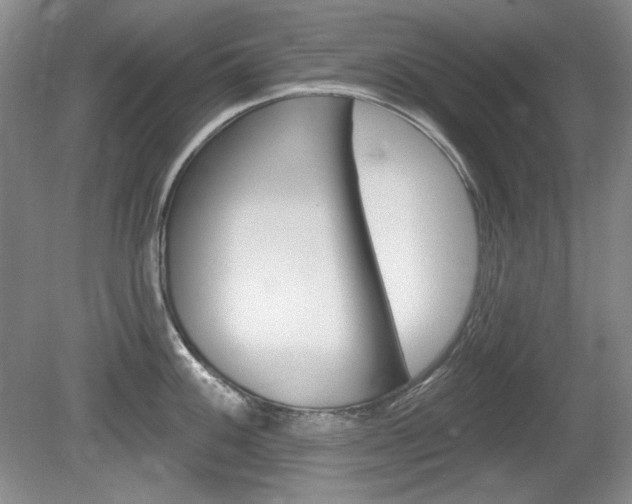 X0000080101100200612080923
