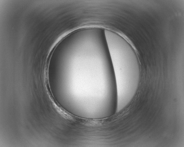 X0000080101101200612080923