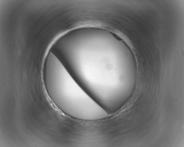 X0000080101104200612080923