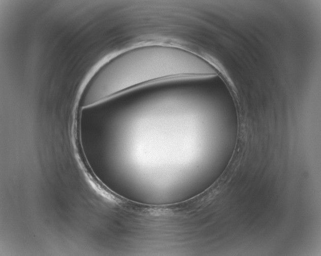 X0000080101136200612080922