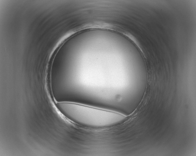 X0000080101139200612080923