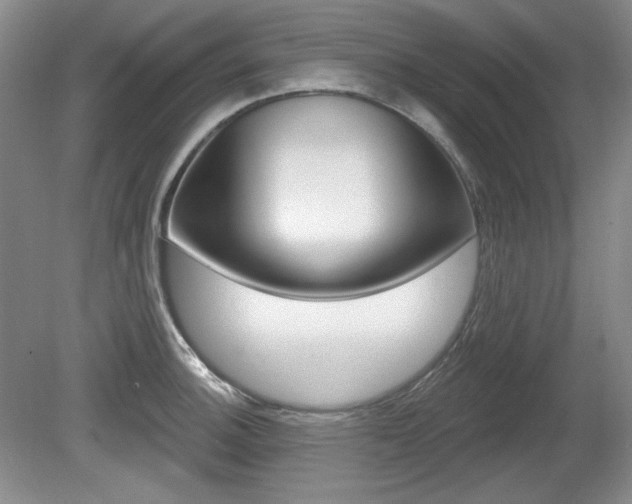 X0000080101140200612080923