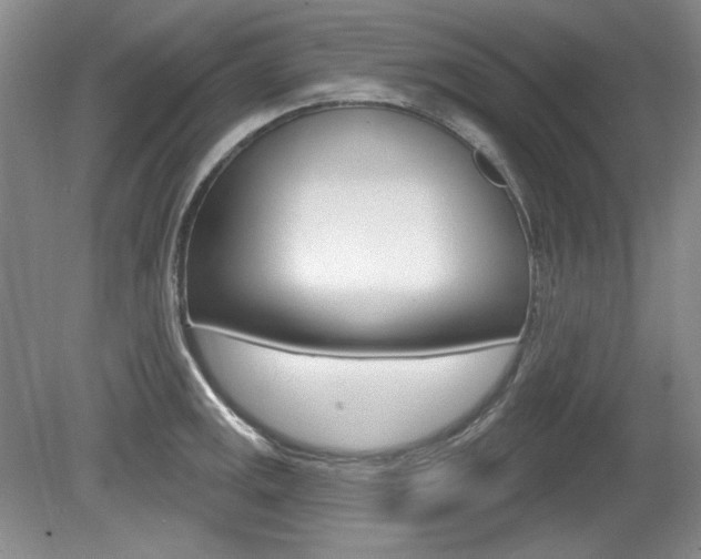 X0000080101141200612080923