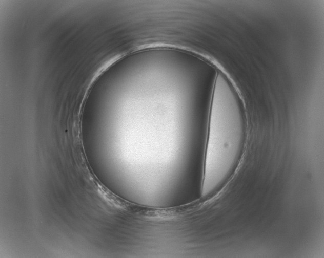 X0000080101145200612080923