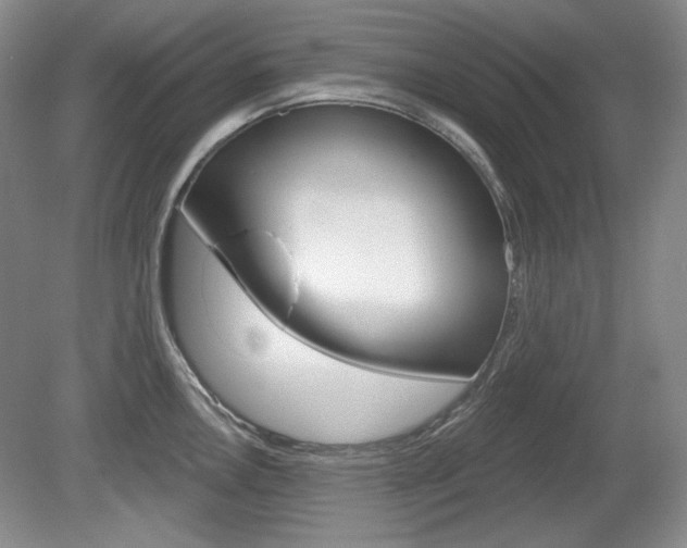 X0000080101146200612080923