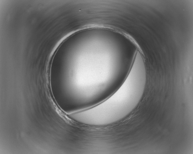X0000080101148200612080923