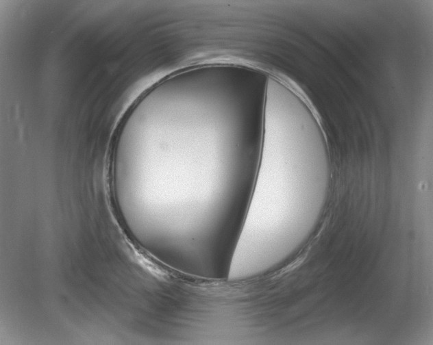X0000080101149200612080923