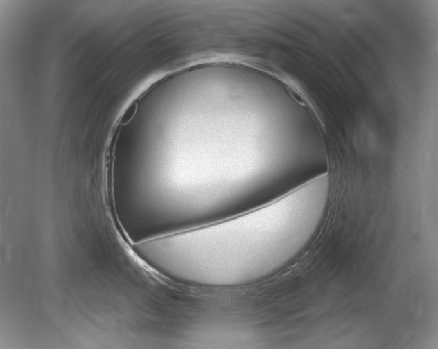 X0000080101151200612080923