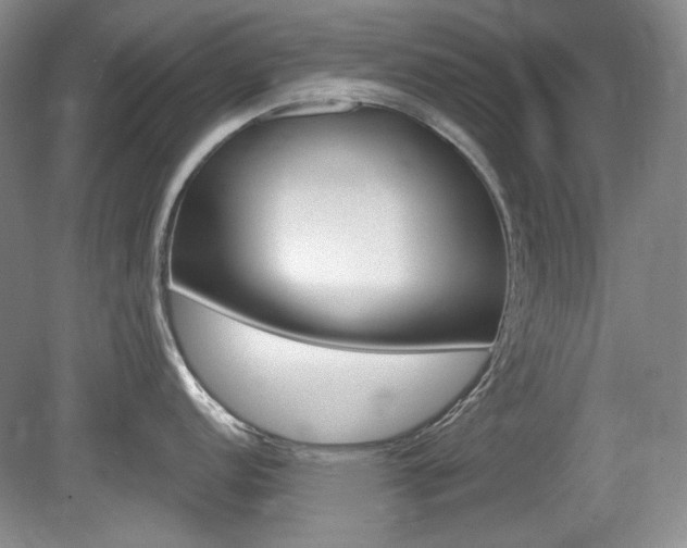 X0000080101152200612080923