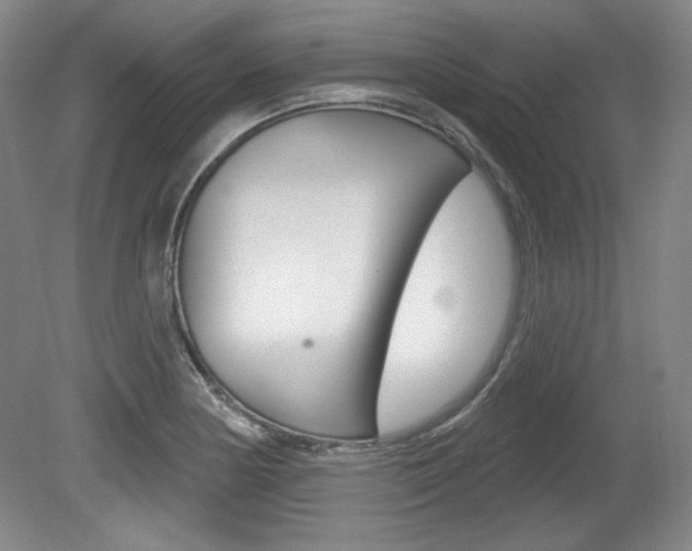 X0000080101178200612080921