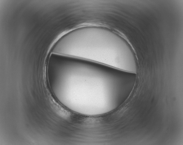X0000080101179200612080921