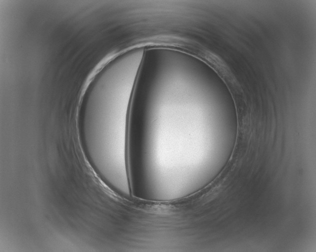 X0000080101180200612080921