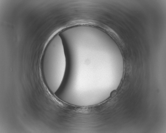 X0000080101182200612080921