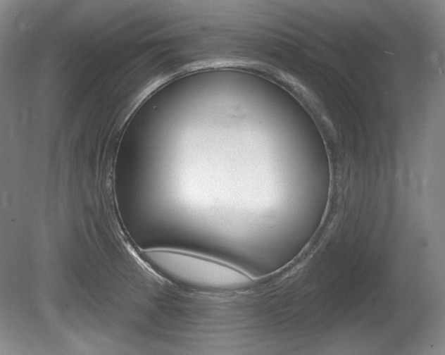 X0000080101185200612080921
