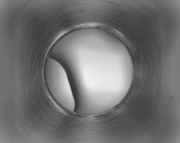 X0000080101186200612080921