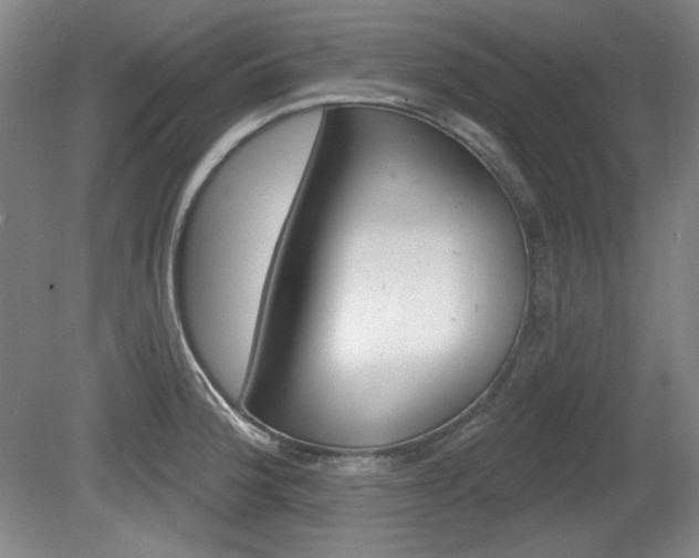 X0000080101188200612080921