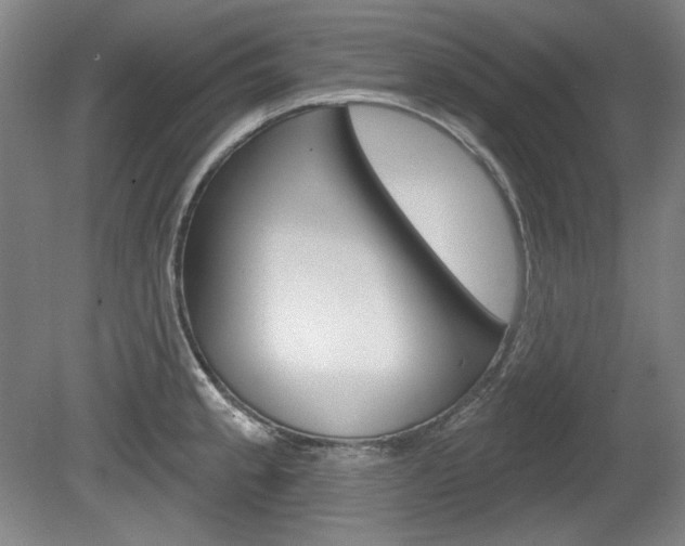 X0000080101189200612080921