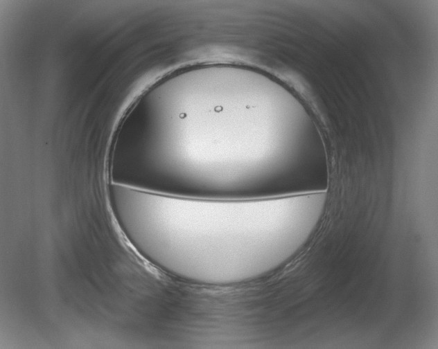 X0000080101191200612080921