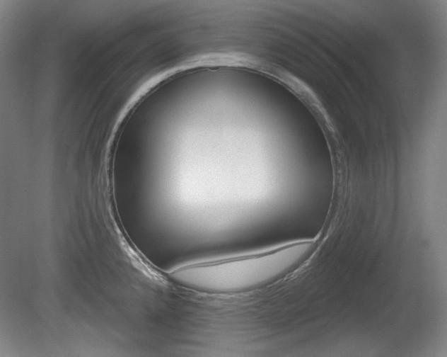 X0000080101192200612080921