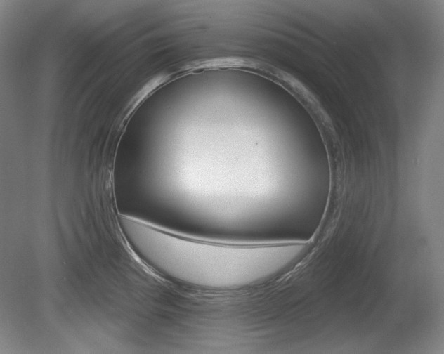 X0000080101193200612080921