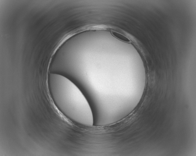 X0000080101194200612080921