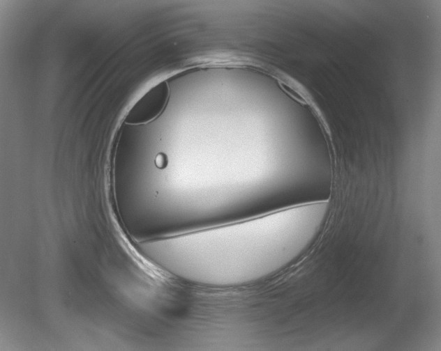 X0000080101195200612080921