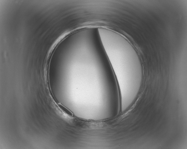 X0000080101196200612080921