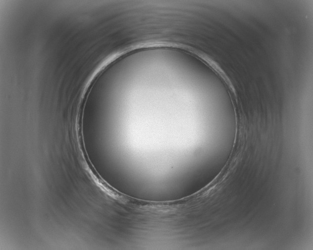 X0000080101197200612080921