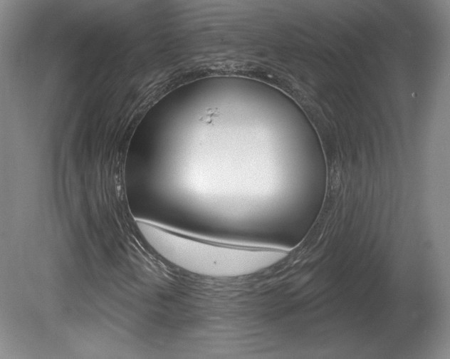 X0000080101202200612080920