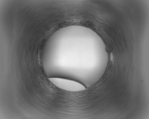 X0000080101203200612080920