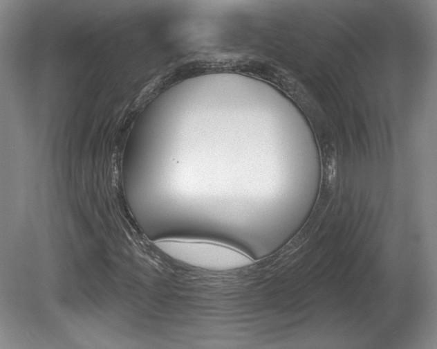 X0000080101204200612080920