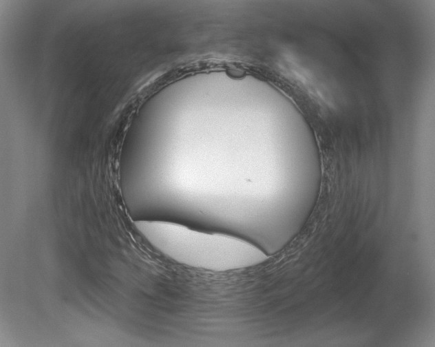 X0000080101207200612080920
