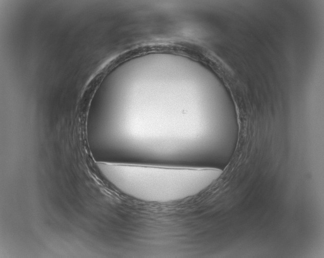 X0000080101208200612080920