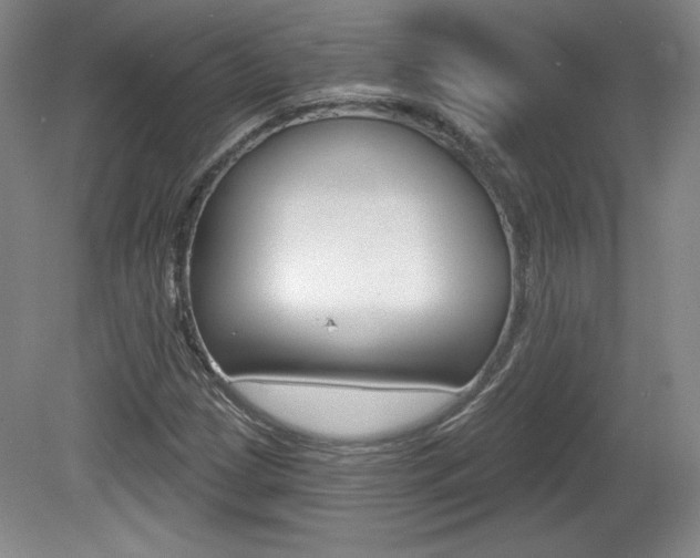 X0000080101209200612080920