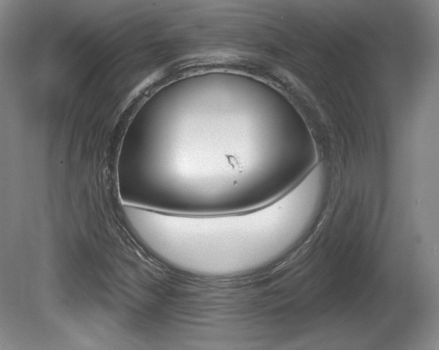 X0000080101210200612080920