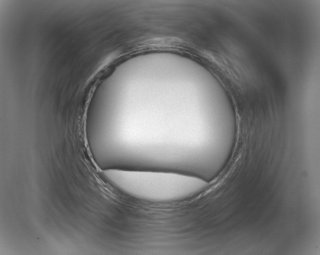 X0000080101211200612080920