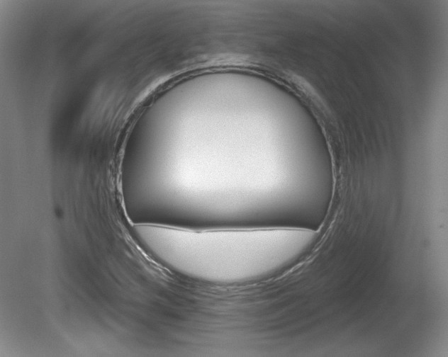 X0000080101212200612080921