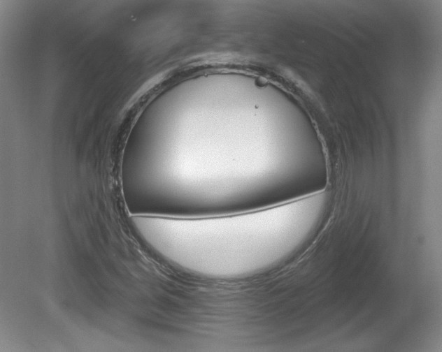 X0000080101213200612080921
