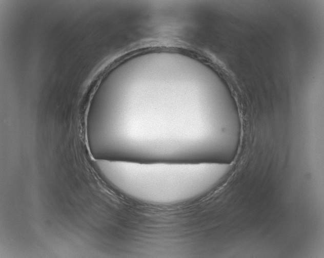 X0000080101215200612080921
