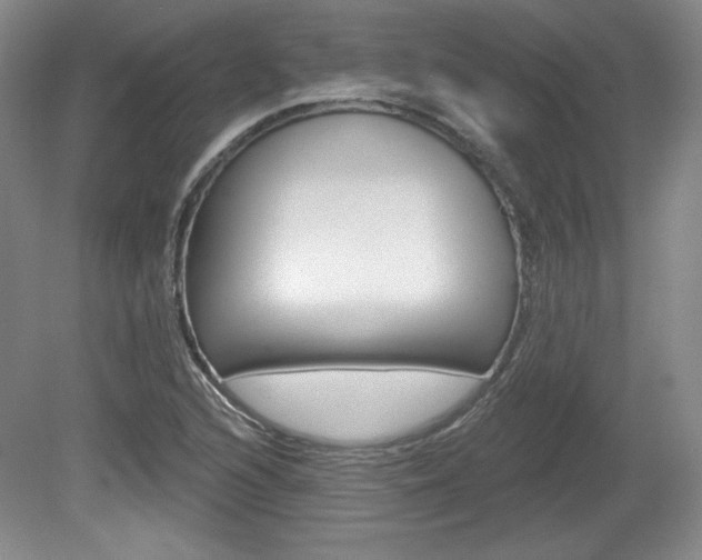 X0000080101216200612080921