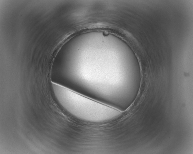 X0000080101217200612080921