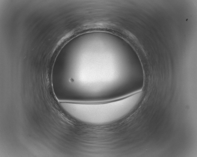 X0000080101218200612080921